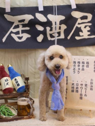 20240613ココアちゃん